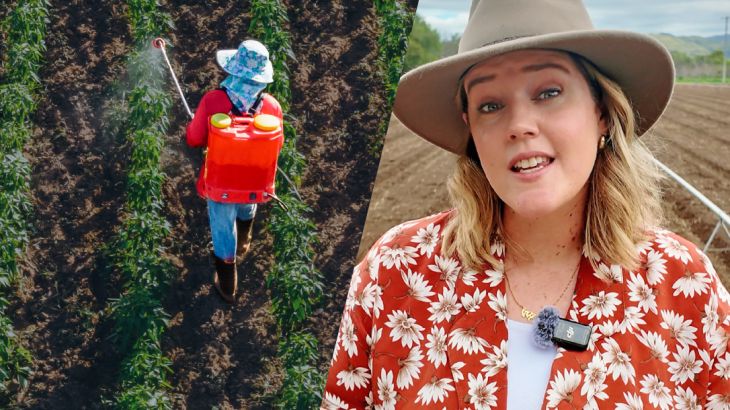 There’s a biodiversity crisis and our food system is driving it | All Hail